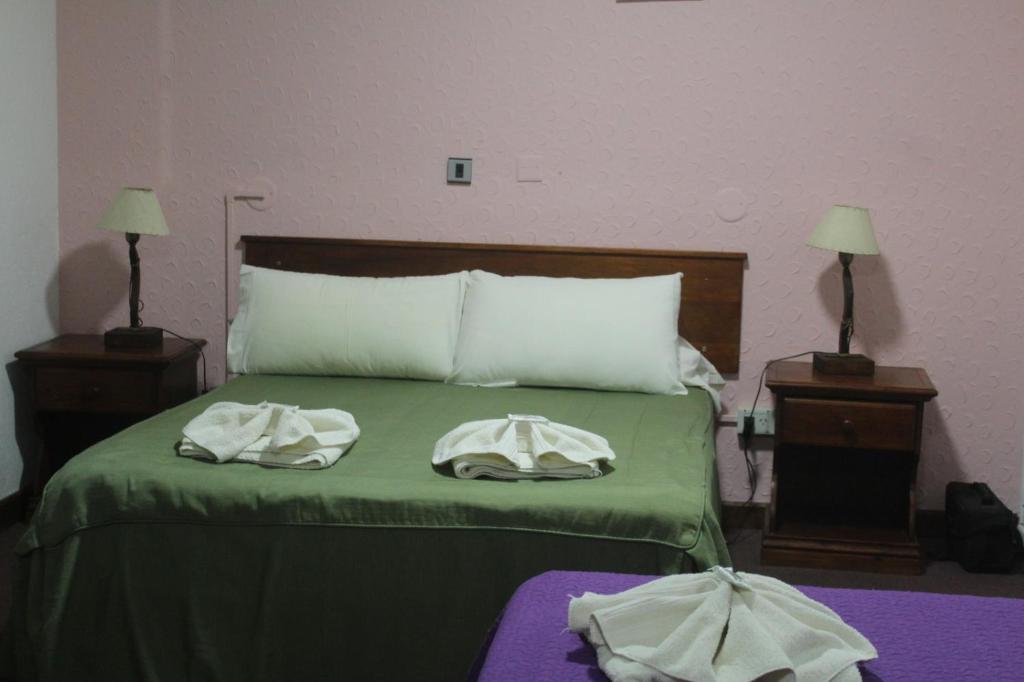 埃斯克尔HOSTERIA AKINO的一间卧室配有绿床和2条毛巾
