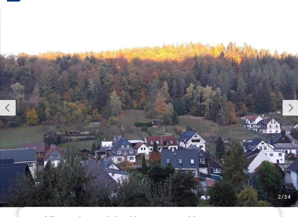 RohrbachKleines Haus am Wald的树木繁茂的城镇的一群房子