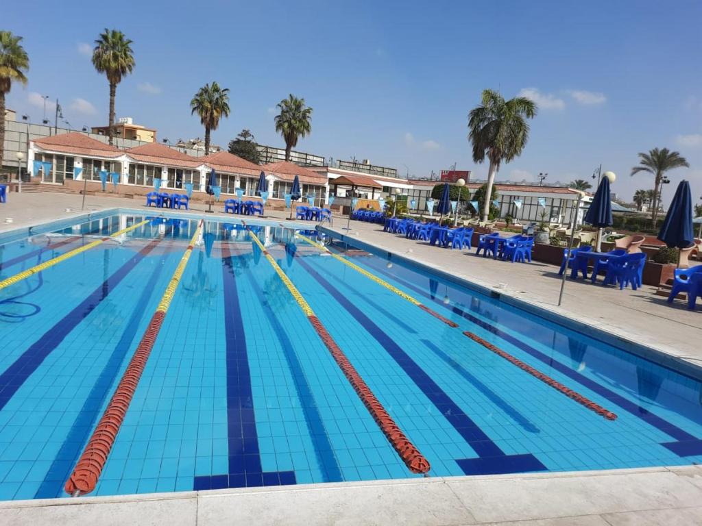 开罗Al-Galaa Club的度假村的游泳池,设有蓝色的椅子和棕榈树