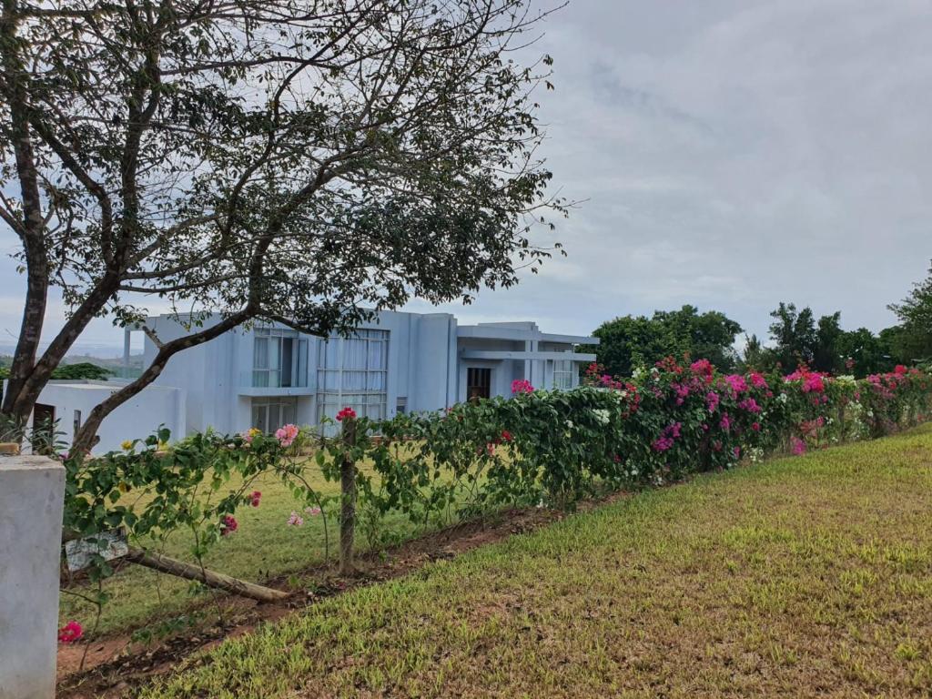 蒙巴萨Villa Luiz Danneel: Vipingo Ridge的院子里一排鲜花的房子