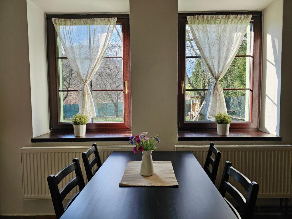 卢捷拿纳德德斯努乌比托寇特公寓的一间带桌子和2个窗户的用餐室