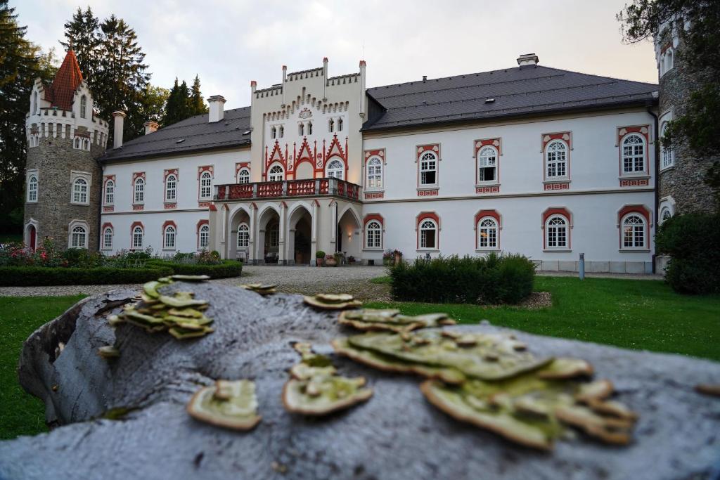 Herálec欧舒丹赫拉莱茨城堡精品酒店及水疗中心的建筑前的一块岩石上的一束香蕉