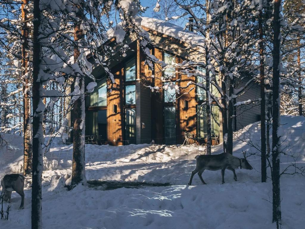 纳帕皮瑞Holiday Home Honka a by Interhome的两只鹿在建筑物前的雪地里行走