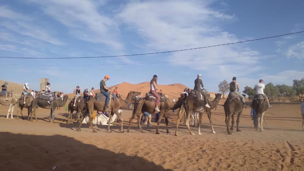 梅尔祖卡Hostel la palmeraie merzouga的一群在沙漠里骑马的人