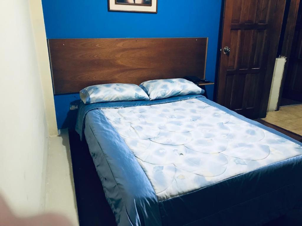 CoronaHostal Chimborazo的蓝色卧室 - 带2个枕头和床