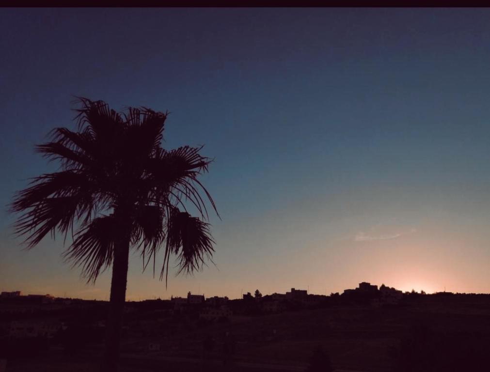马达巴Sunset Roof apartment的棕榈树,背景是日落