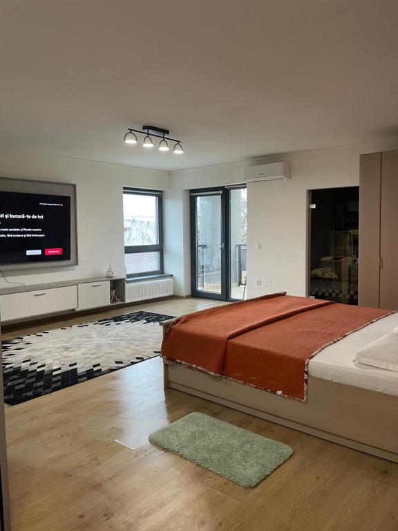 特尔古穆列什Eben ezer concept的一间卧室配有一张大床和一台平面电视