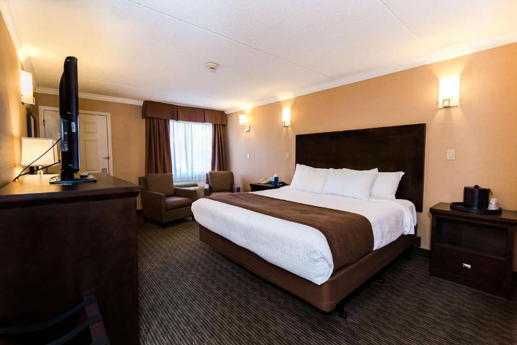 德赖登德赖登贝斯特韦斯特PLUS酒店会议中心的酒店客房设有一张大床和一台电视。