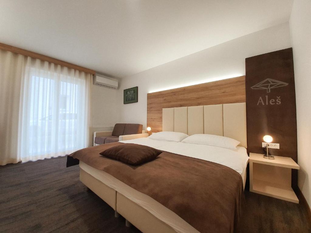 克拉尼Hiša Aleš的一间设有大床和窗户的酒店客房
