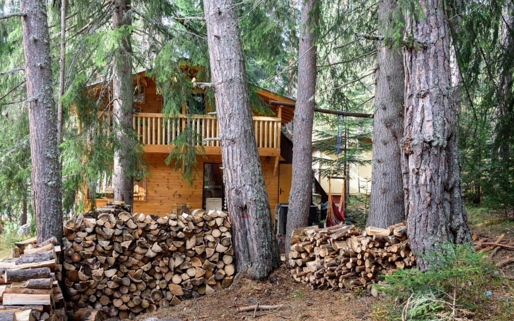 BelitsaLife House-Semkovo的树林里的木小屋