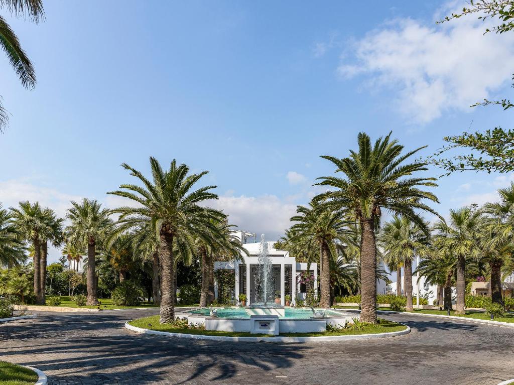 罗希姆诺格雷科泰克雷塔皇庭酒店的棕榈树公园和喷泉