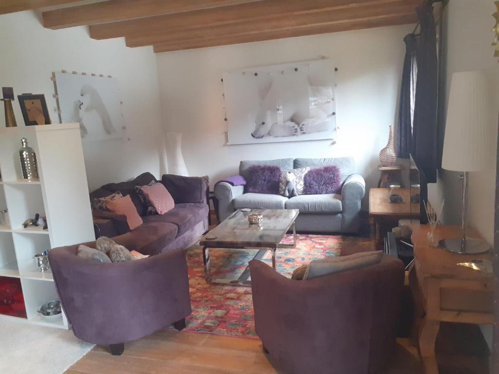 夏蒙尼-勃朗峰Appartement La Suite Mont-Blanc的客厅配有沙发和桌子