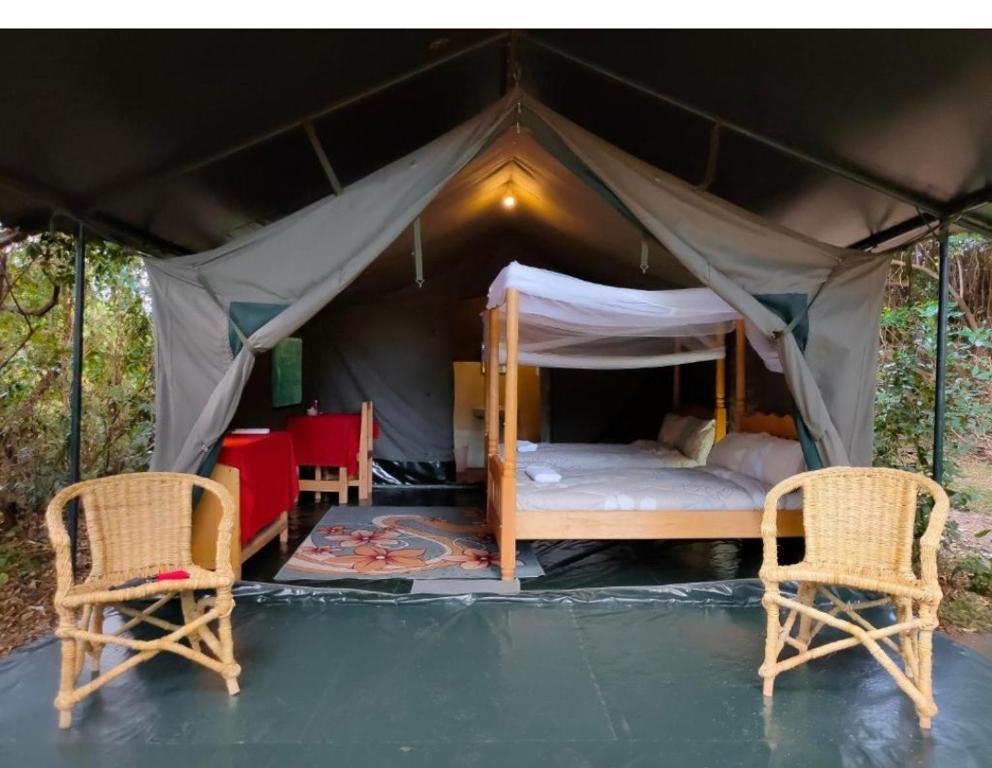SekenaniDan Maasai Mara safari camp的帐篷配有两把椅子和一张床