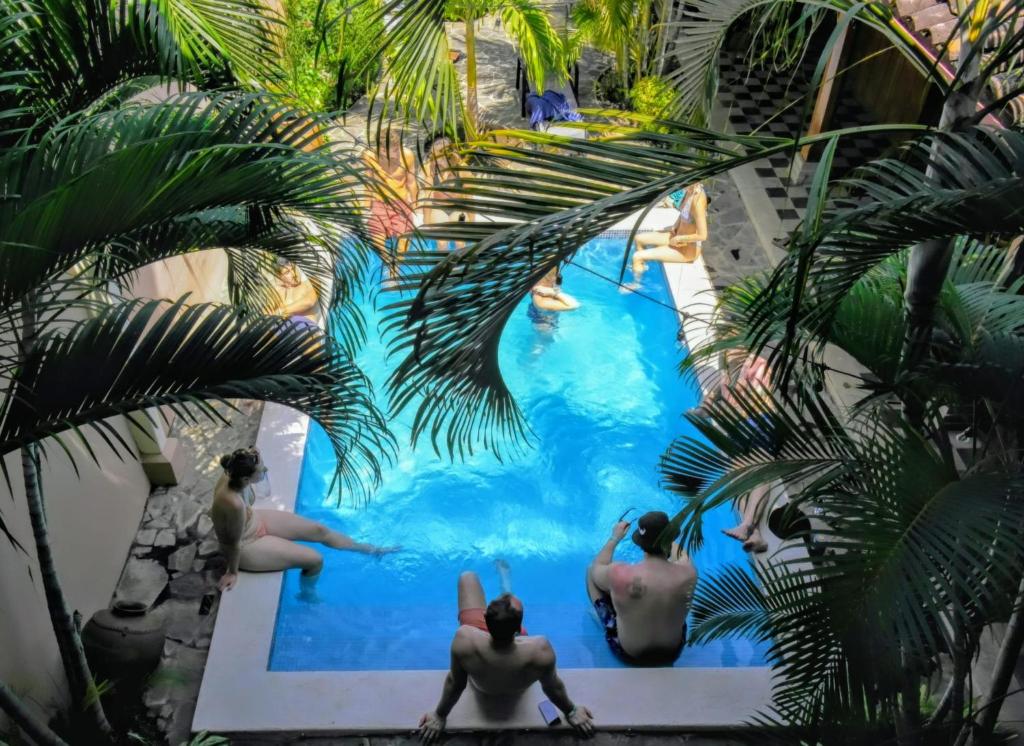 格拉纳达Hostal Azul的一群人在棕榈树泳池游泳
