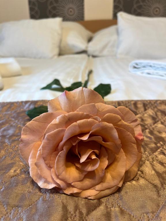 布达佩斯Hotel Rose City的床上坐着粉红色的玫瑰