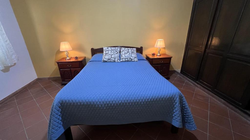 塔里哈Apartamento Maracuyá en Tarija的一间卧室配有一张带蓝色被子的床和两盏灯。