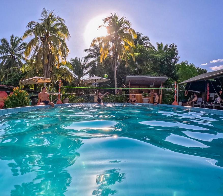 莱蒂西亚Hostel Casa de las Palmas Tours的棕榈树度假村的游泳池