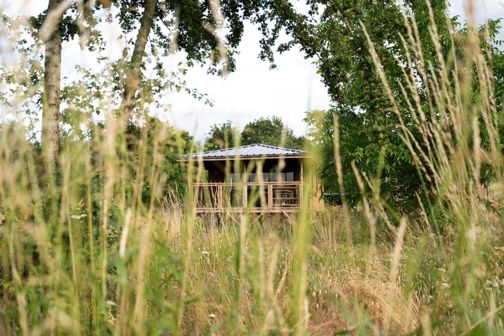 Écaussinnes-dʼEnghienEcau Lodge - Logement insolite à 30km de Pairi Daiza的一片高大的草场上的一个小房子