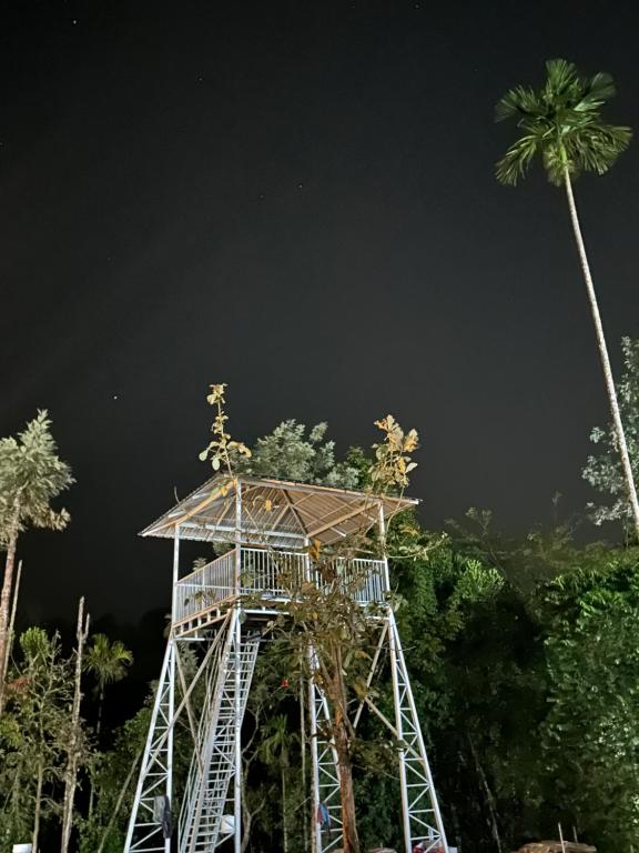 维特利Historic Heaven wayanad的一座有棕榈树的救生塔