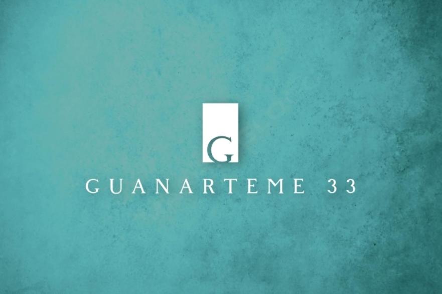 大加那利岛拉斯帕尔马斯GUANARTEME 33的公司标志,称为“同伴”