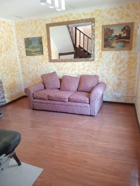 蓬塔阿雷纳斯Lenga的客厅配有紫色沙发和镜子