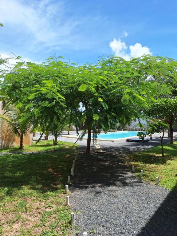卡莫辛Pousada Casa du Soleil Camocim的一群树木在游泳池前