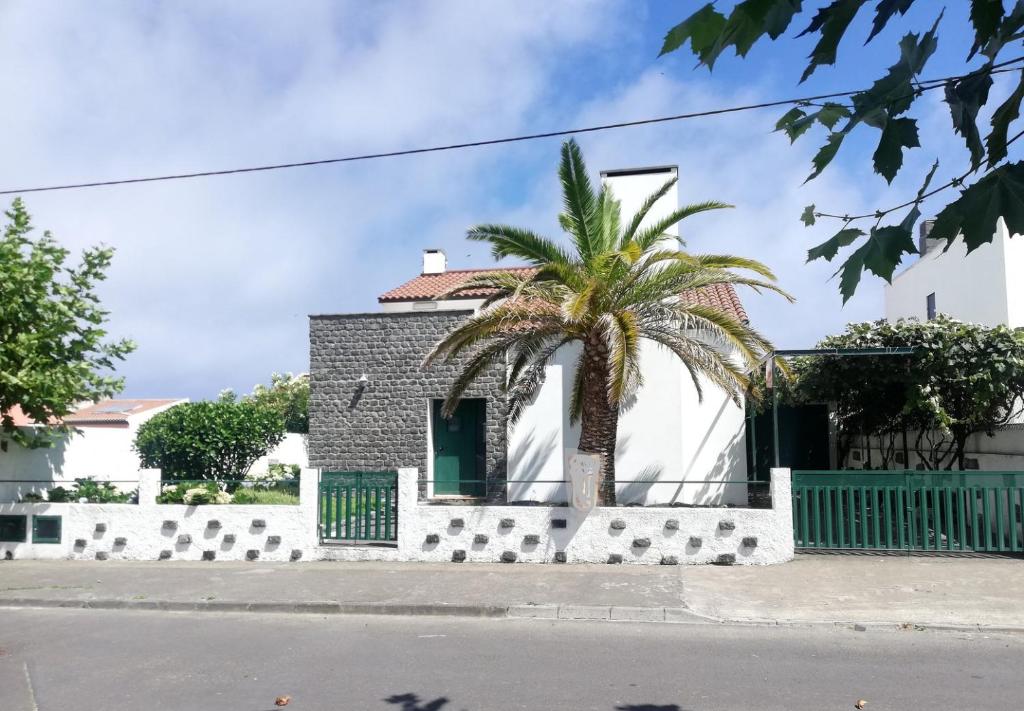 莫什泰鲁什WelcomeBuddy - Mosteiros Vineyards (Praia&Sunset)的一座建筑前的棕榈树