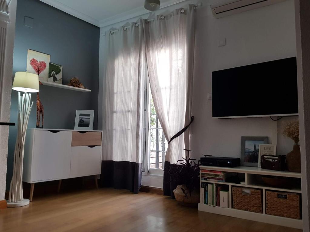 科尔多瓦Apartamento Barrionuevo的一间带电视和窗户的客厅