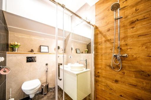 扎科帕内Apartament Kamieniec的带淋浴、卫生间和盥洗盆的浴室