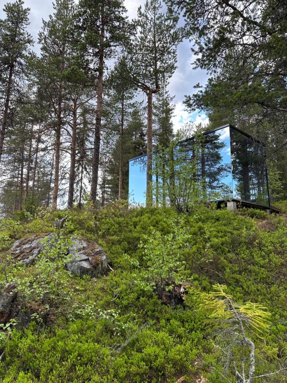 ÅmotSpegle Hyllandsfoss的树林中山丘上的玻璃房子