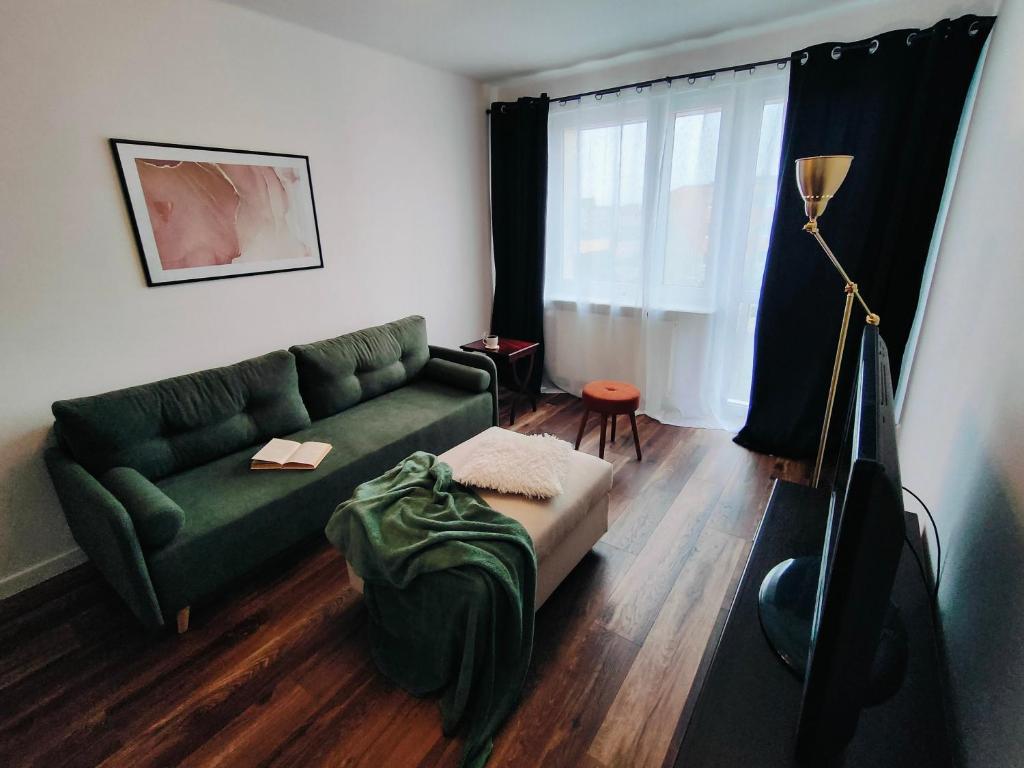戈莱纽夫Apartament Inka的客厅设有绿色沙发和窗户。