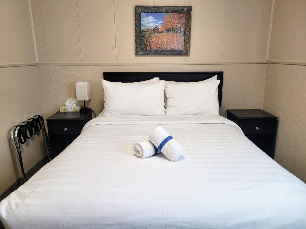镭温泉里多尔汽车旅馆的一间卧室配有一张床,上面有两条毛巾