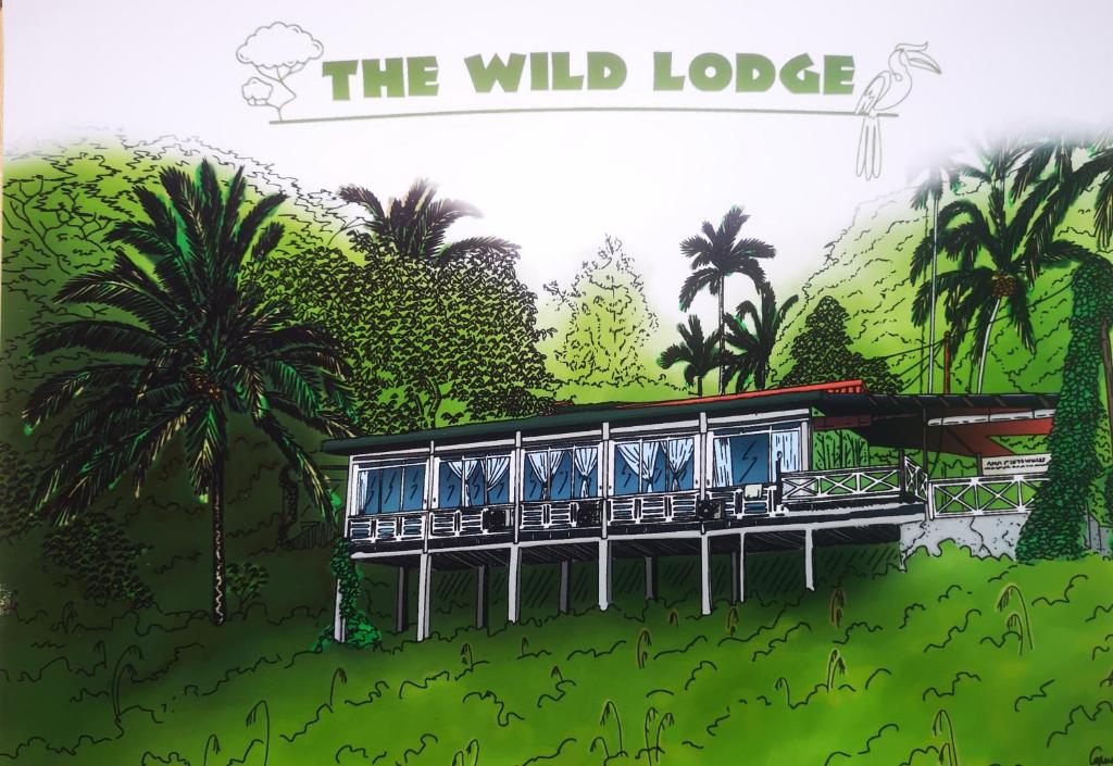 瓜拉大汉Wild Lodge Taman Negara的棕榈树的野外小屋的 ⁇ 染