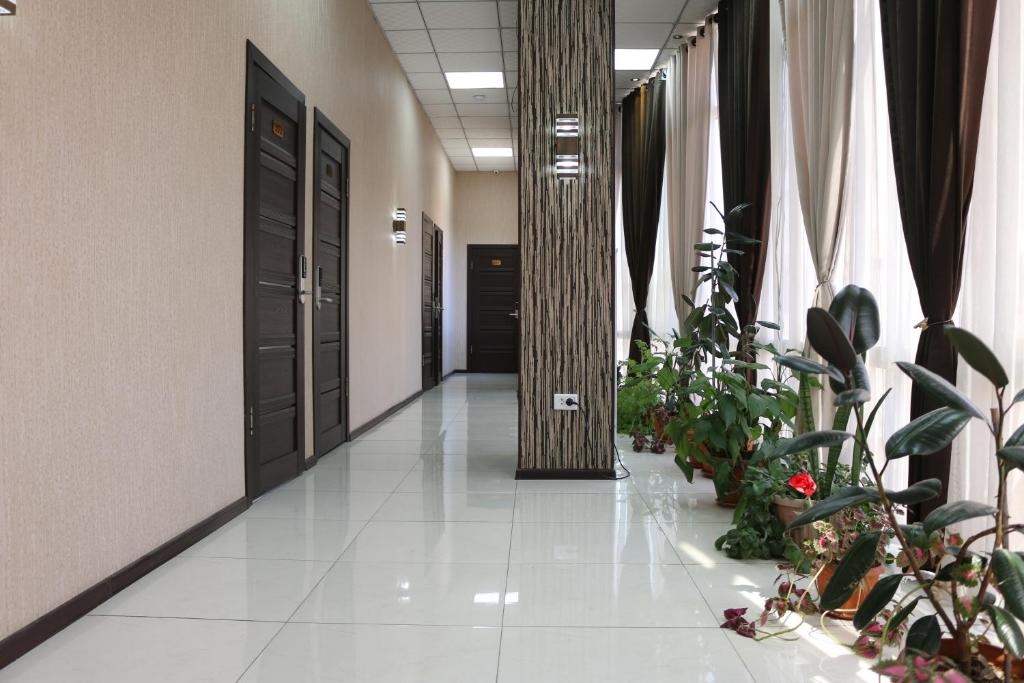 杜尚别Diamond Hotel Dushanbe的楼内带有盆栽和柱子的走廊