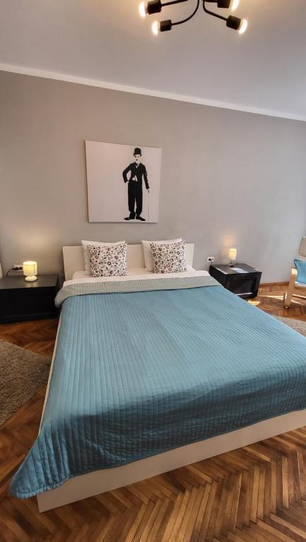 布拉索夫科罗纳民宿的一间卧室配有一张带蓝色棉被的大床