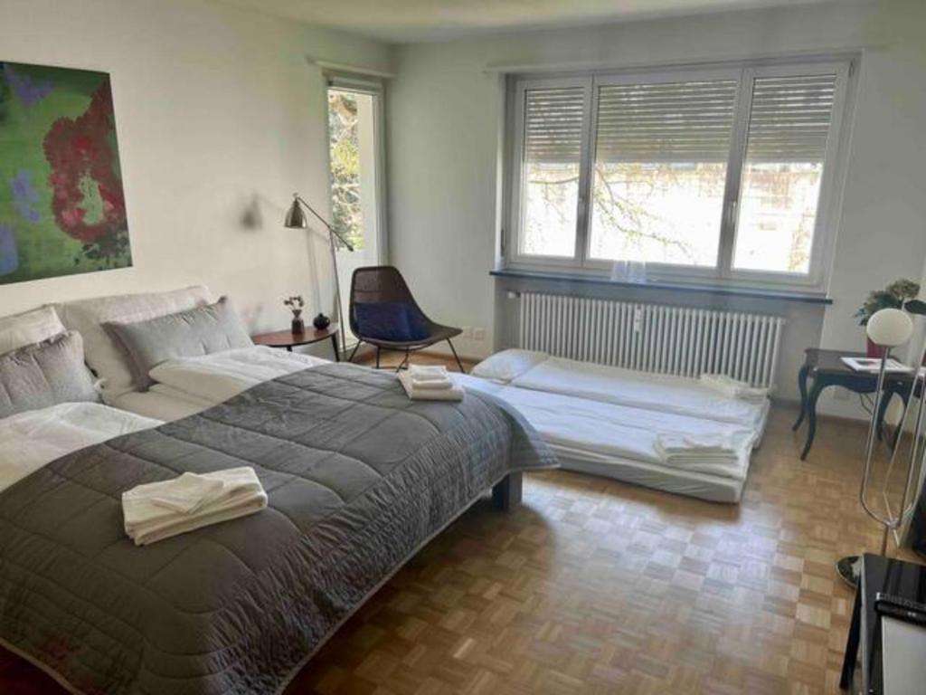 巴塞尔Gemütliche Wohnung Nähe Uni的一间卧室配有一张大床和一把椅子