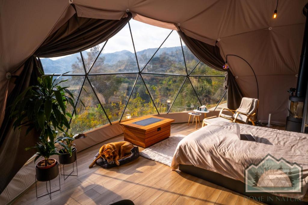 拉纳卡Dome in Nature的一间卧室设有一张床和一个大窗户