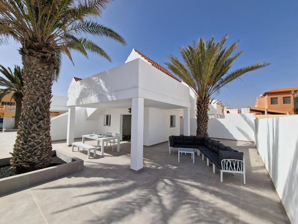 卡勒达德福斯特Hoy Caleta Apartments的一座种有棕榈树的庭院和一座白色的房子