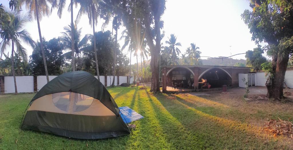 拉利伯塔德Casa Vieja Surf Spa Mizata的棕榈树庭院内草上的一个帐篷