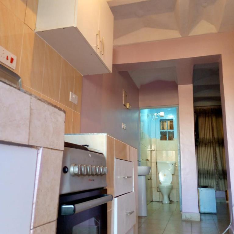 ThikaVerona Airbnb的带炉灶的厨房和带卫生间的浴室