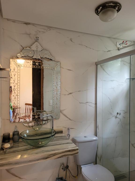布鲁马迪纽Na trilha da ostra的一间带水槽、卫生间和镜子的浴室