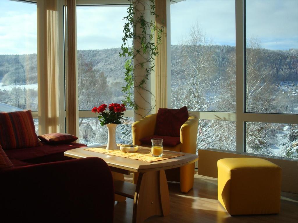 策拉-梅利斯保格布里克度假公寓的客厅配有桌椅和大窗户