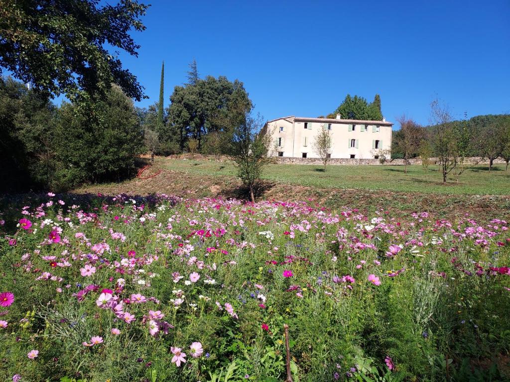 圣让迪加尔Les Jardins de Falguière的花田,有房子在后面