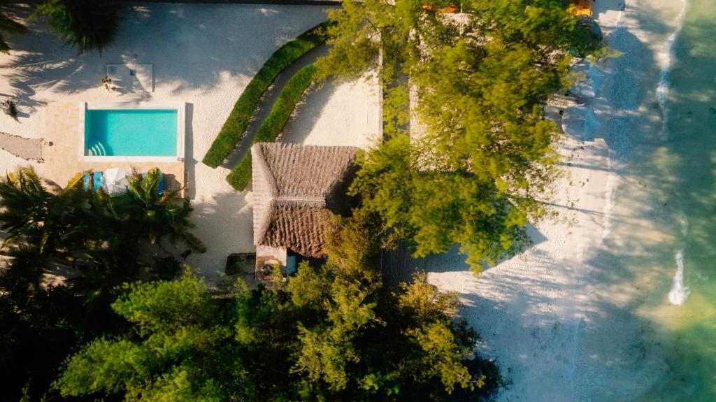 江比阿Villa Passiflora Zanzibar的享有带游泳池的房屋的顶部景致