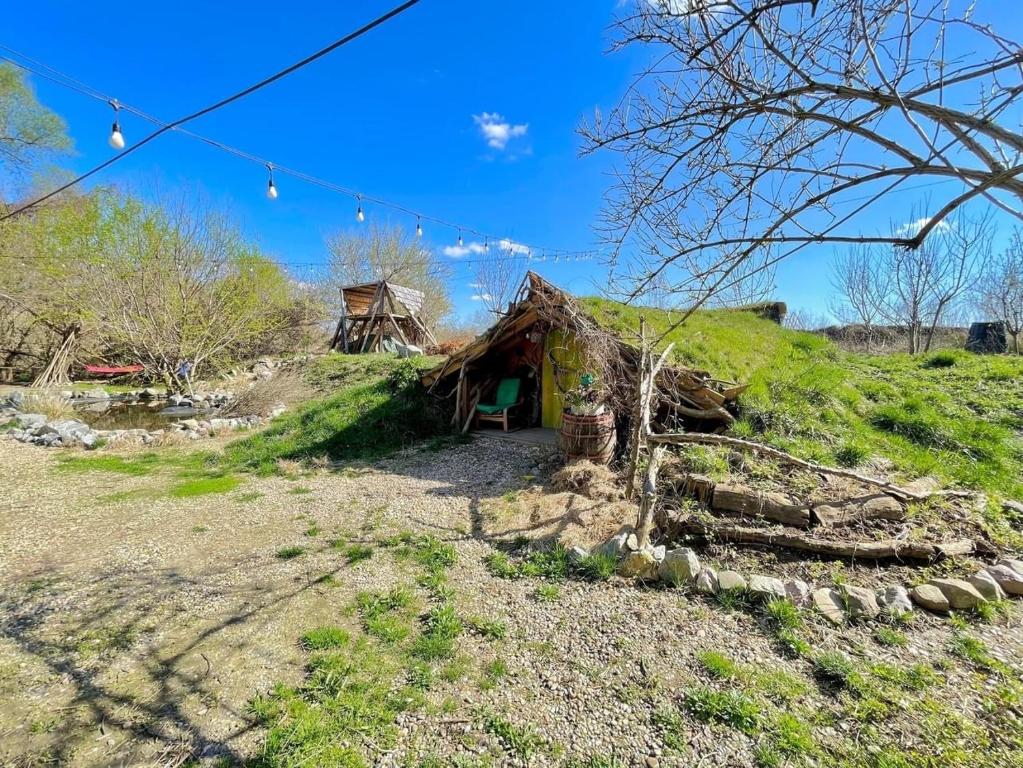 阿拉德Casă din povești în mijlocul naturii!的一座小房子,位于一座山坡上,拥有绿色的斜坡