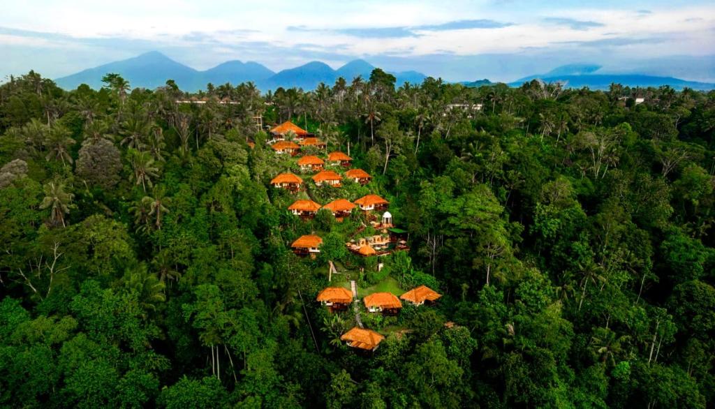帕洋安Nandini Jungle by Hanging Gardens的享有带橙色屋顶的森林的空中景致