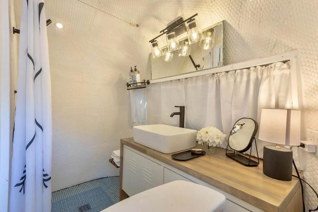 坦帕South Tampa Airstream Farm Stay的白色的浴室设有水槽和卫生间。
