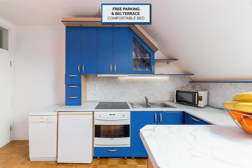 斯洛文尼亚格拉代茨Apartma Lea的厨房配有蓝色橱柜和水槽
