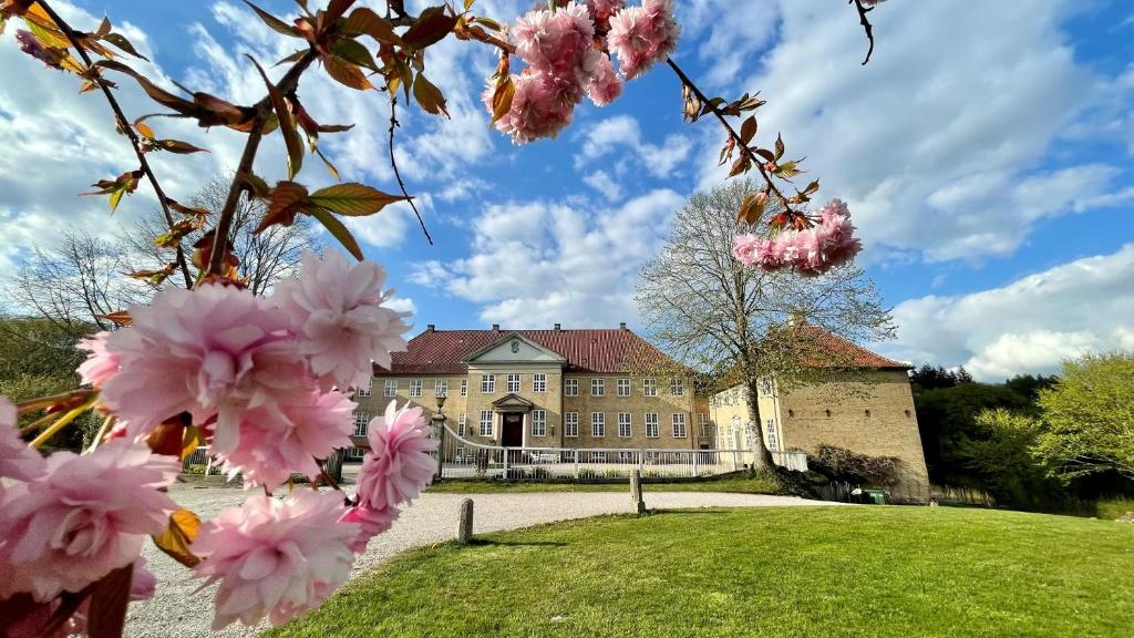 JystrupSkjoldenæsholm Slot的前面有粉红色花的建筑