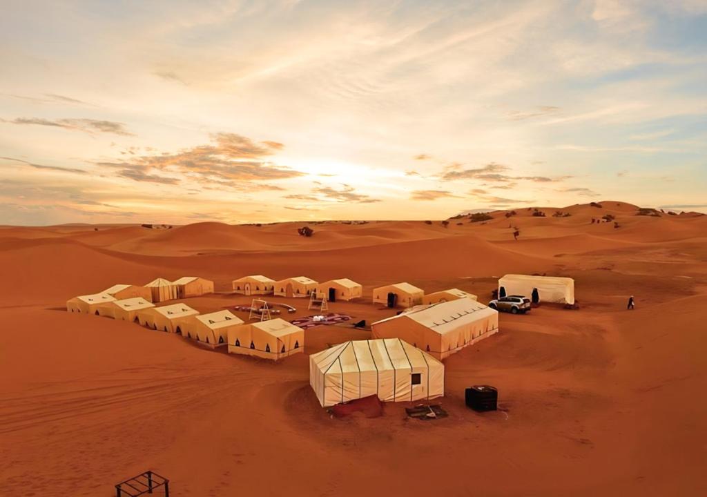 扎古拉Sahara Berber Camp的沙漠中一群骆驼